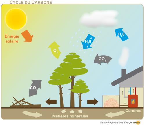cycle carbone